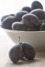 Load image into Gallery viewer, French Prune Tree