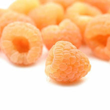 Load image into Gallery viewer, Golden Raspberry Plant - USDA Organic