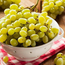 Load image into Gallery viewer, Tara Scuppernong Grape