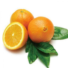 Load image into Gallery viewer, Navel Orange Tree
